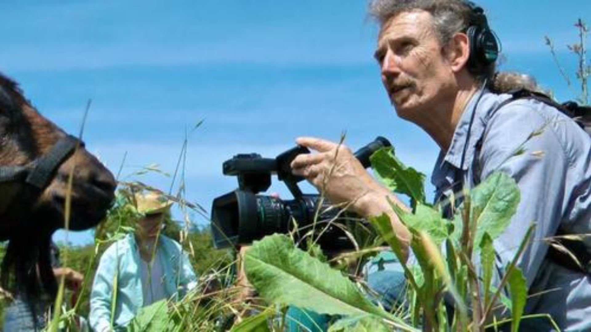 Potluck and Movie Night with Transition Berkeley